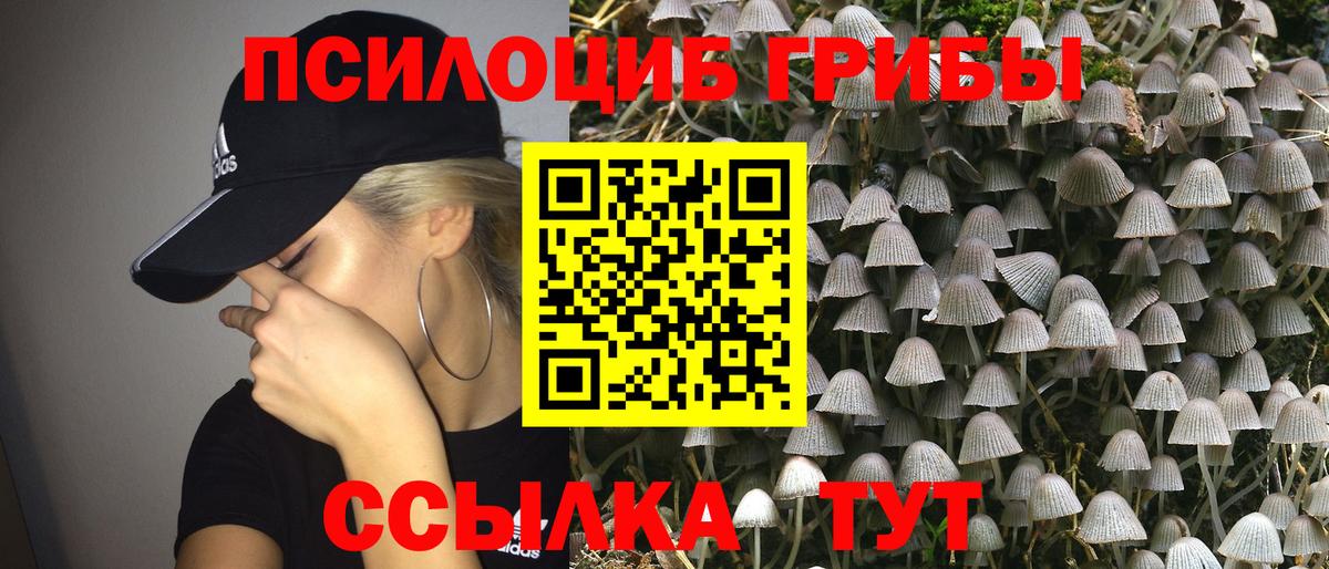 Псилоцибиновые грибы прущие грибы Павлово