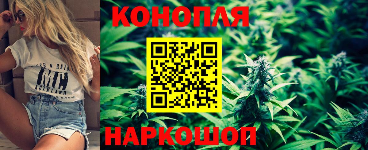 Бошки марихуана планчик  Бошки марихуана SATIVA & INDICA  Вход с VPN  Марихуана гибрид  Павлово 
